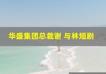 华盛集团总裁谢 与林短剧